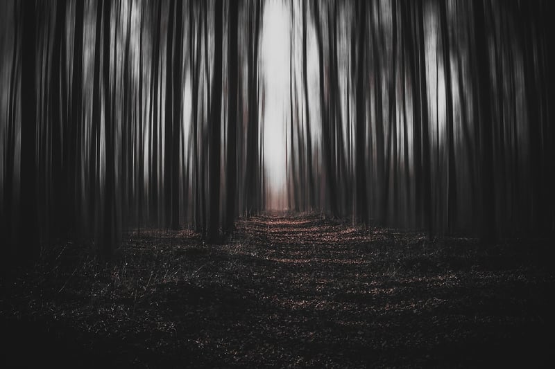 Time Warp